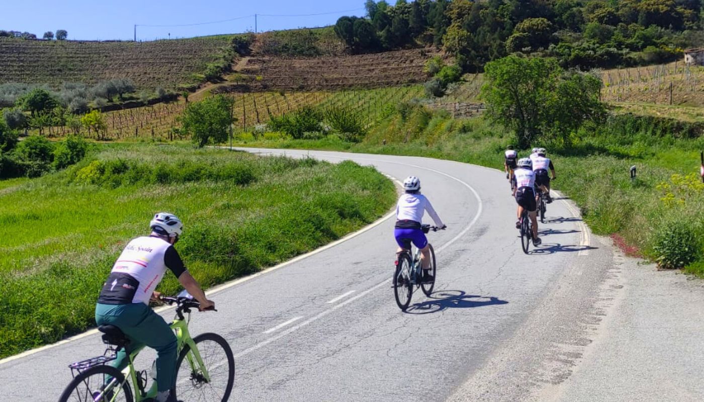 Rioja Bike & Wine Tour