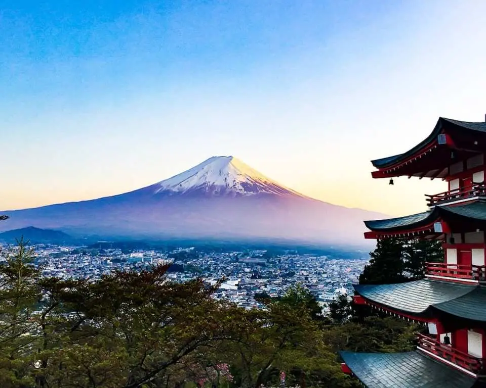 Yamanashi Peach & Grape Picking with Mount Fuji View