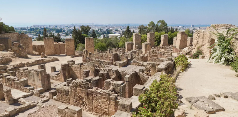 Carthage Archaeological Site & Byrsa Hill